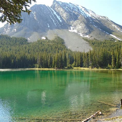 Elbow Lake Trail Kananaskis Country All You Need To Know