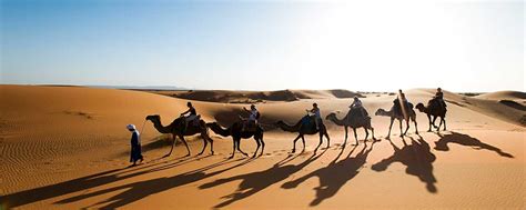 Camel Trekking & Camping - Luxury Travel Morocco