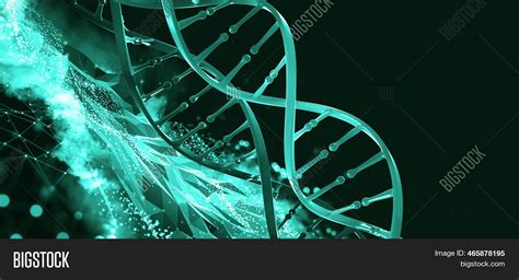 Dna Helix 3d Image And Photo Free Trial Bigstock