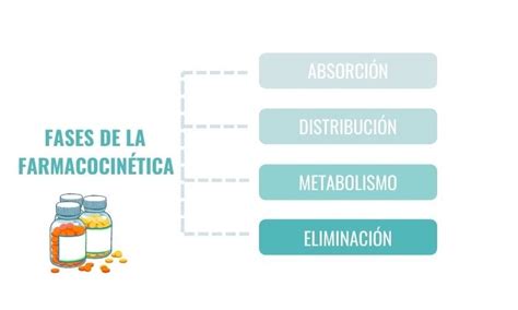 Farmacocinética De Absorción De Fármacos