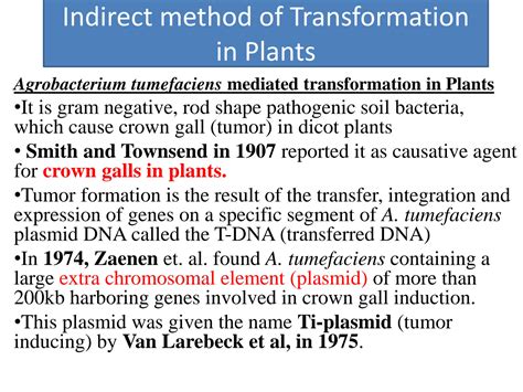 SOLUTION: Direct and indirect gene transfer methods - Studypool