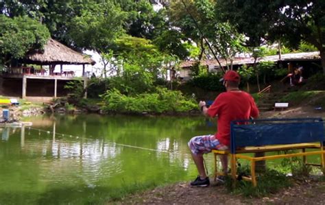 Pesca Deportiva Rancho Panorama Palmira Valle Del Cauca