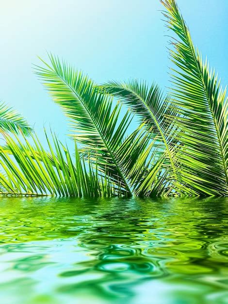 Hojas De Palmera Y Agua De Mar Viajes De Verano Y Playa Foto Premium