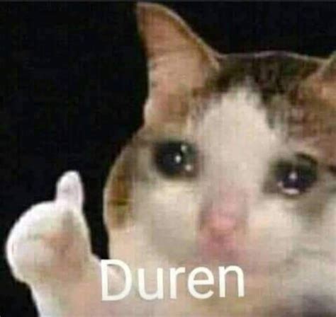 Duren Meme Gato