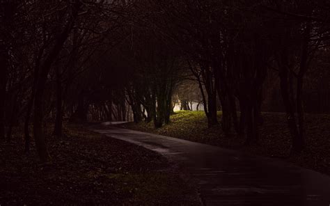 Photography Trees Path Forest Dark Wallpaper Coolwallpapers Me