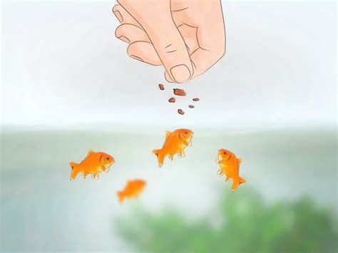 How to Set up a Five Gallon Fish Tank: 10 Steps (with Pictures)