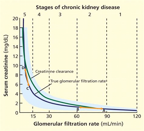 RSIDefenser: What is the significance of GFR measurement