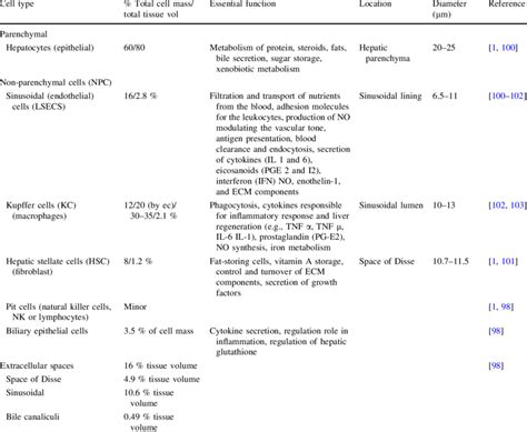 Cell types of liver: distribution and essential functions | Download Table