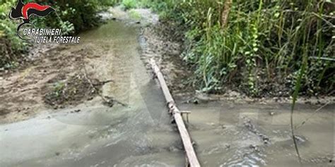 Zungri Scarichi Fognari Nel Torrente Murria Sequestrato Punto Di Scarico