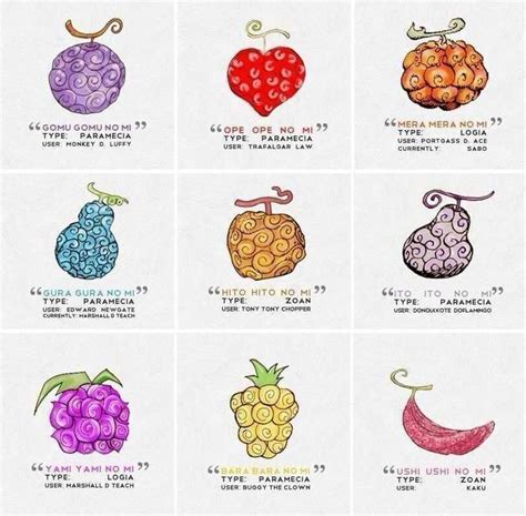 Types Of Devil Fruits In Anime