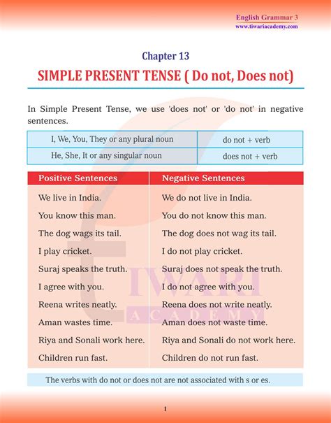 Class 3 English Grammar Chapter 13 Simple Present Tense Negative