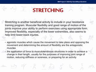 Stretching | PPT