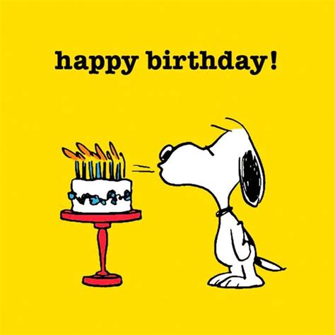 Pin By Monita Molina On Snoopy Snoopy Birthday Snoopy Birthday