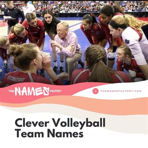 480 Funny Volleyball Team Names Top Names For Your Squad