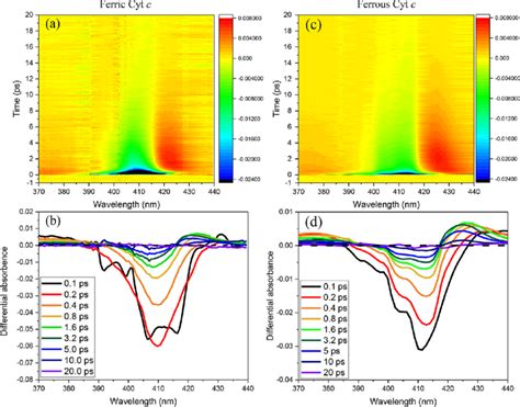 Two Dimensional View Of TA Spectra Around The Soret Band Of A Ferric