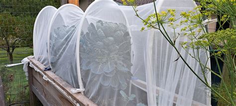 Mosquito Netting – Crazy for Gardening