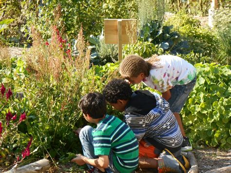 Cultivate Health initiative helps the school garden movement grow