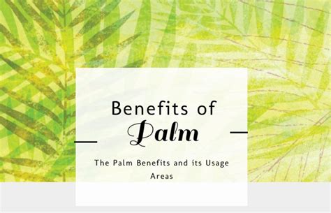 The uses, composition, and benefits of red palm oil