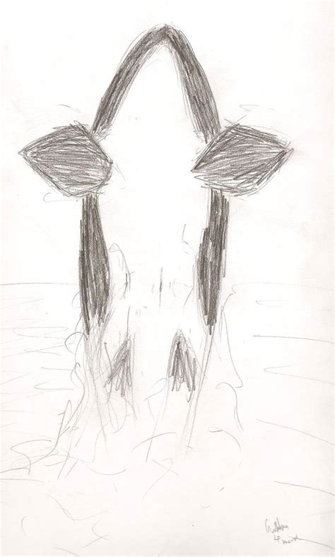 Orca sketch by ciarathedark1 on DeviantArt