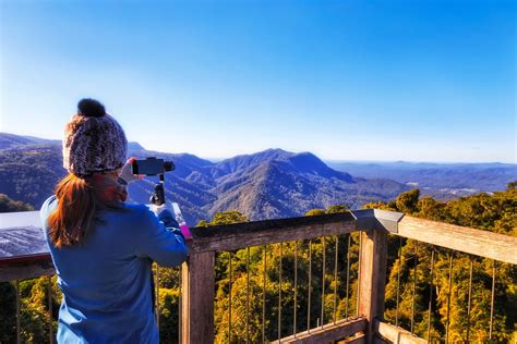 A stunning skywalk lookout in Dorrigo National Park | Attraction | JumpOn