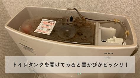 トイレのタンクに発生するカビを簡単キレイに落とす掃除、手入れ方法 町の水道修理センター