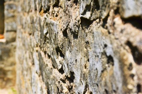 Free Images Tree Rock Wood Texture Trunk Wall Soil Material