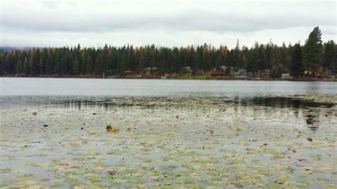 Placid Lake State Park Seeley Lake Montana Crown Of The Continent