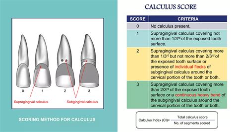 Oral Hygiene Index Ohi And Oral Hygiene Index Simplified Ohi S Ppt