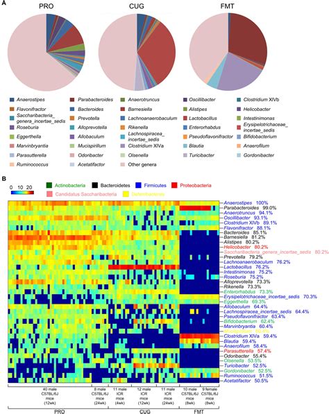 Frontiers Core Gut Bacteria Analysis Of Healthy Mice