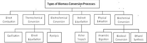 Thermochemical Conversion Of Biomass Biofuels Academy