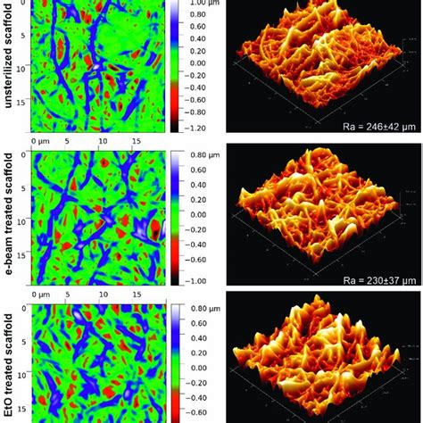 AFM Images Of The Surface Of Electrospun Scaffolds Obtained From A