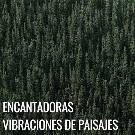 Play Encantadoras Vibraciones De Paisajes by Paisajes sonoros épicos