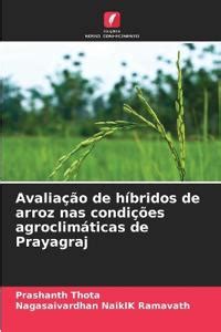 Avaliação de híbridos de arroz nas condições agroclimáticas de