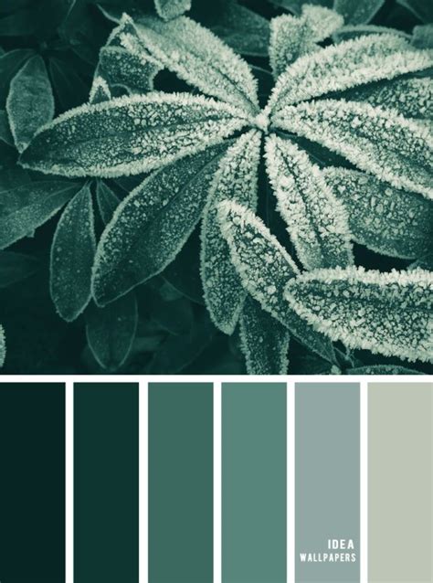 Winter Colour Inspiration : Green Hues - Idea Wallpapers , iPhone ...