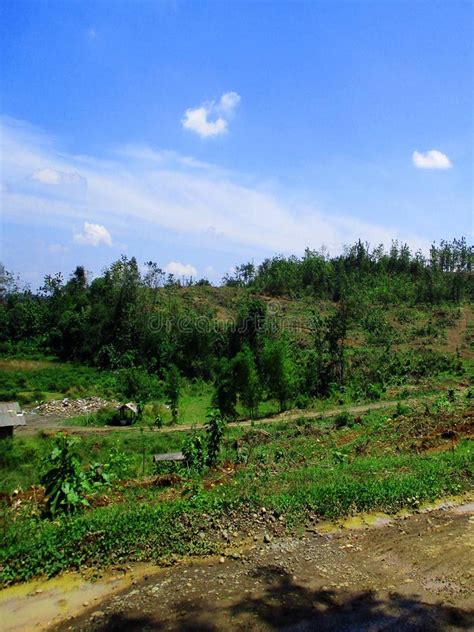 Free View of Forest, River, Mountain, Sky in Public and Open Area of ...