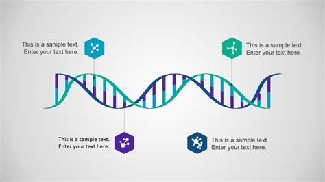 02 Dna Strand Powerpoint Slidemodel