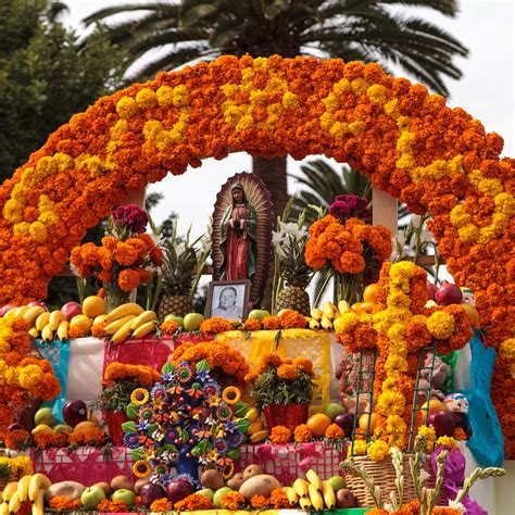 6 Day of the Dead Flowers - Día de Muertos Flower Meanings