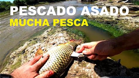 Día de PESCA Y COCINA Improvisada Explorando hermoso río PESCA