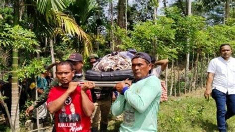 Empat Hari Menghilang Ismail Gade Ditemukan Tak Bernyawa Di Kebun