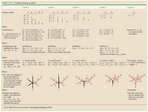 Chapter Phylogenetic Reconstruction Table Neighbor Joining