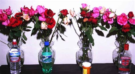 Scientific Ways To Make Cut Flowers Last Longer Awesci Science Everyday