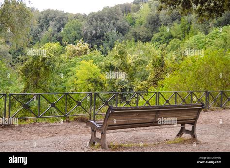 Metal park bench in the park Stock Photo - Alamy