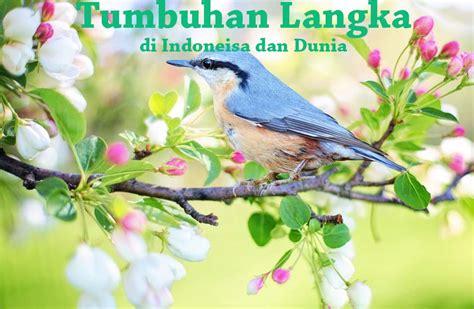 √ 38 Jenis Tumbuhan Langka di Indonesia dan Dunia Lengkap | Ilmu Geografi