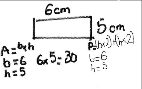 Calcula Las Dimensiones De Un Rect Ngulo Cuya Rea Es De Cm Y