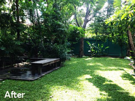 Shade Grass Lawns For Bangkok Homes Thai Garden Design