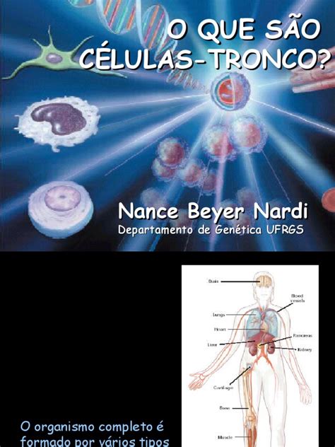 PDF Biologia PPT Células Tronco 1 DOKUMEN TIPS