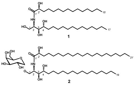 Marine Drugs Free Full Text New Cytotoxic Natural Products From The