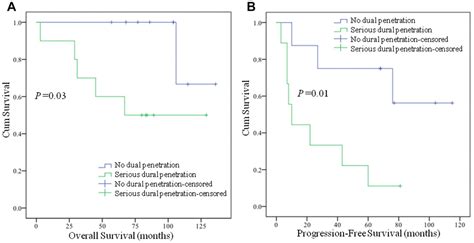 Lncrna And Mrna Expression Profiles Reveal The Potential Roles Of