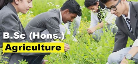 B Sc Agriculture College In Punjab India Agriculture Courses Near Me