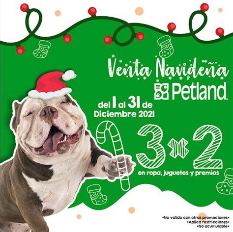 3x2 En Juguetes Premios Y Ropa Para Mascotas En Petland